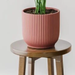 Kentia Palm House Plant In Elho Pot -DUNELM Furniture Shop 30963512 alt02