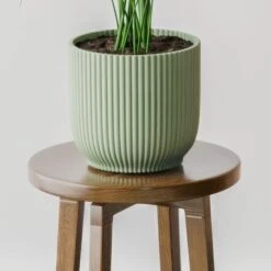 Kentia Palm House Plant In Elho Pot -DUNELM Furniture Shop 30963514 alt02