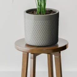 Kentia Palm House Plant In Capri Pot -DUNELM Furniture Shop 30963517 alt02
