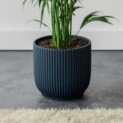 Kentia Palm House Plant In Elho Pot -DUNELM Furniture Shop 30963521 alt02