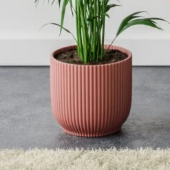 Kentia Palm House Plant In Elho Pot -DUNELM Furniture Shop 30963522 alt02
