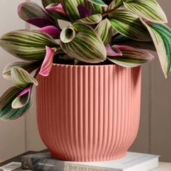 Tradescantia Nanouk House Plant In Elho Vibes Pot -DUNELM Furniture Shop 30963599 alt02