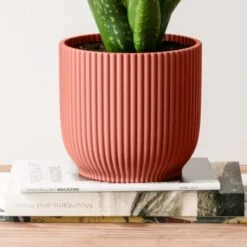 Aloe Vera House Plant In Elho Vibes Pot -DUNELM Furniture Shop 30963672 alt02