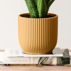 Aloe Vera House Plant In Elho Vibes Pot -DUNELM Furniture Shop 30963673 alt02