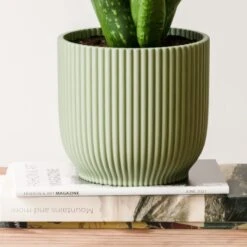 Aloe Vera House Plant In Elho Vibes Pot -DUNELM Furniture Shop 30963674 alt02
