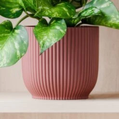 Marble Queen Pothos House Plant In Elho Pot -DUNELM Furniture Shop 30963706 alt02