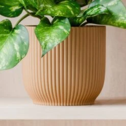 Marble Queen Pothos House Plant In Elho Pot -DUNELM Furniture Shop 30963707 alt02