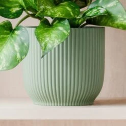Marble Queen Pothos House Plant In Elho Pot -DUNELM Furniture Shop 30963708 alt02