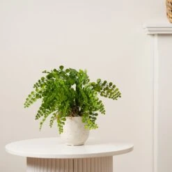 Artificial Fern In Speckled Ceramic Plant Pot