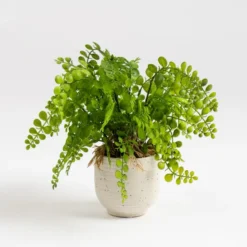 Artificial Fern In Speckled Ceramic Plant Pot -DUNELM Furniture Shop 30975090 alt02