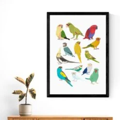 East End Prints Parrots Print -DUNELM Furniture Shop 30975440