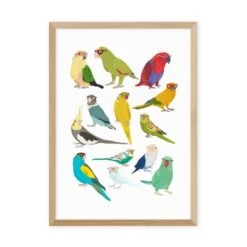 East End Prints Parrots Print -DUNELM Furniture Shop 30975517 alt01