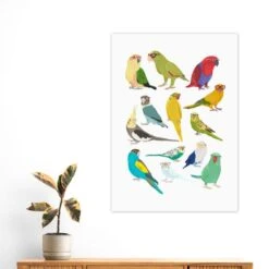 East End Prints Parrots Print -DUNELM Furniture Shop 30975584