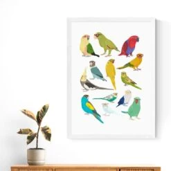 East End Prints Parrots Print -DUNELM Furniture Shop 30975720