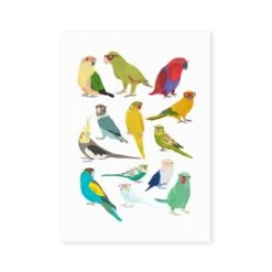 East End Prints Parrots Print -DUNELM Furniture Shop 30975812 alt01