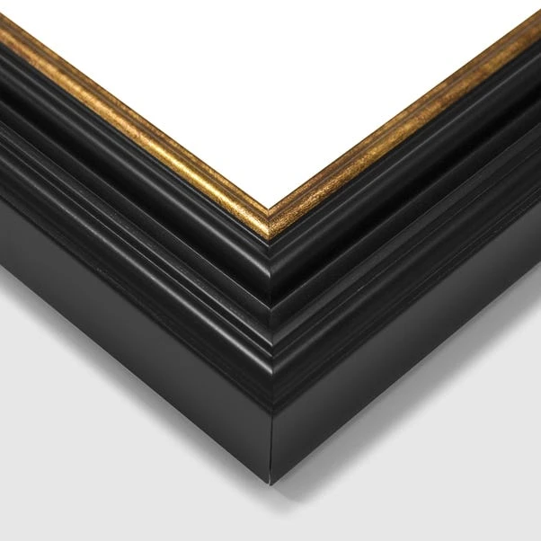 Set Of 2 Vintage French Birds Framed Prints 5 Set Of 2 Vintage French Birds Framed Prints - Image 3