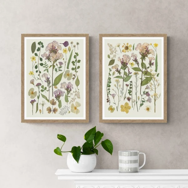 Set Of 2 Pressed Flowers Framed Prints 3 Set Of 2 Pressed Flowers Framed Prints