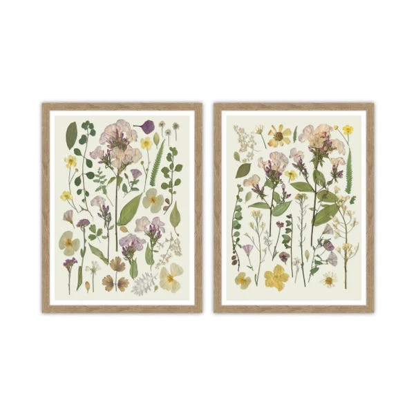 Set Of 2 Pressed Flowers Framed Prints 4 Set Of 2 Pressed Flowers Framed Prints - Image 2