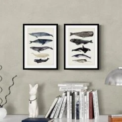 Set Of 2 Whale Illustrations Framed Prints
