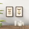Set Of 2 Vintage Moths Framed Prints -DUNELM Furniture Shop 30976654