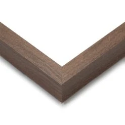 Set Of 2 Vintage Moths Framed Prints -DUNELM Furniture Shop 30976654 alt02